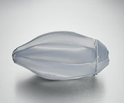 Windpack
